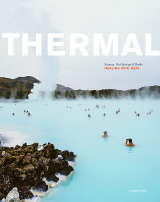 Cover image: Thermal 9781797218571
