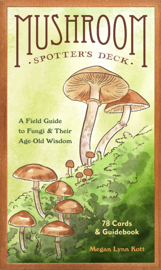 Cover image: Mushroom Spotter's Deck 9781797220048