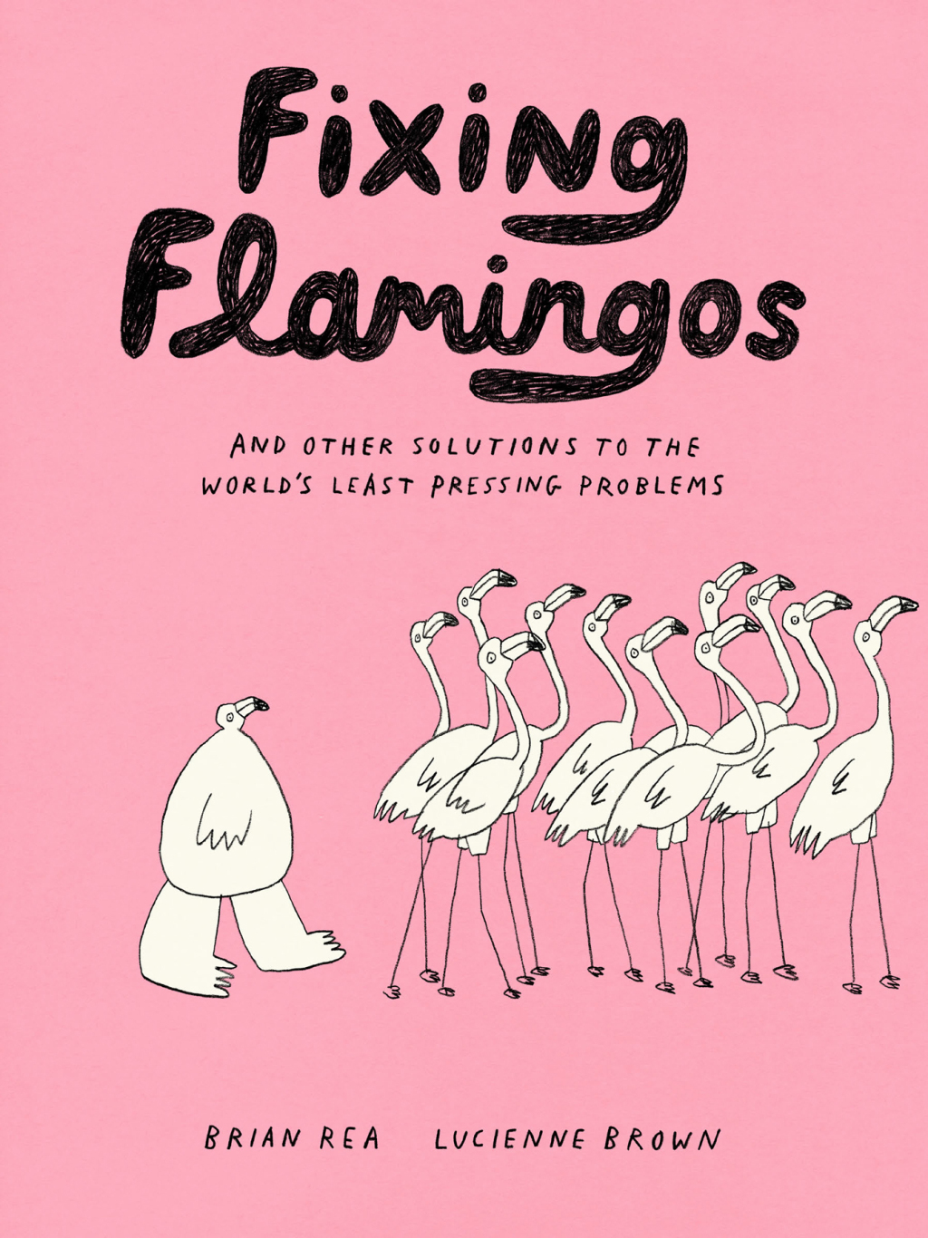 Fixing Flamingos And Other Solutions to the World’s Least Pressing Problems