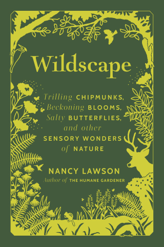 Imagen de portada: Wildscape 9781797222479