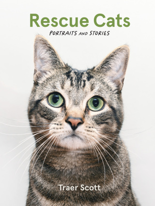 Immagine di copertina: Rescue Cats 9781797228747