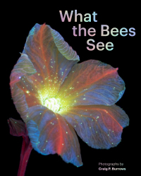 Cover image: What the Bees See 9781797230184