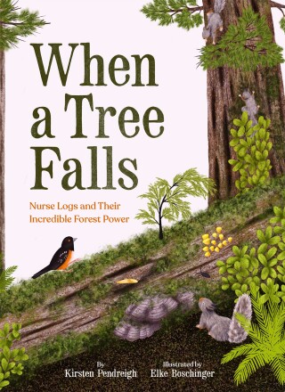 Cover image: When a Tree Falls 9781797218670