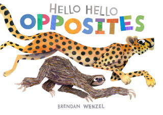 Cover image: Hello Hello Opposites 9781797219981