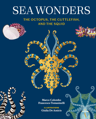Omslagafbeelding: Sea Wonders 9781797233147