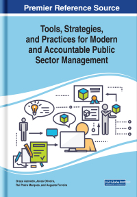 Omslagafbeelding: Tools, Strategies, and Practices for Modern and Accountable Public Sector Management 9781799813859