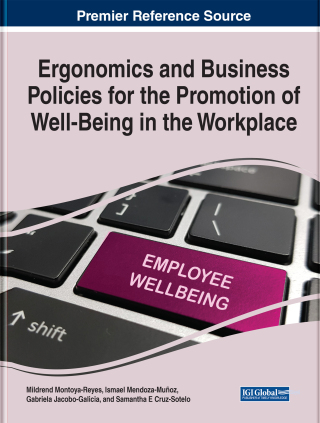 Omslagafbeelding: Ergonomics and Business Policies for the Promotion of Well-Being in the Workplace 9781799873969