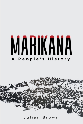 Cover image: Marikana 1st edition 9781847013736