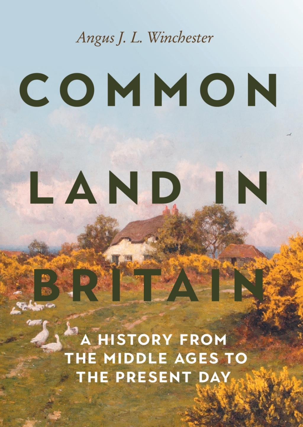 Common Land in Britain A History from the Middle Ages to the Present Day 1st Edition