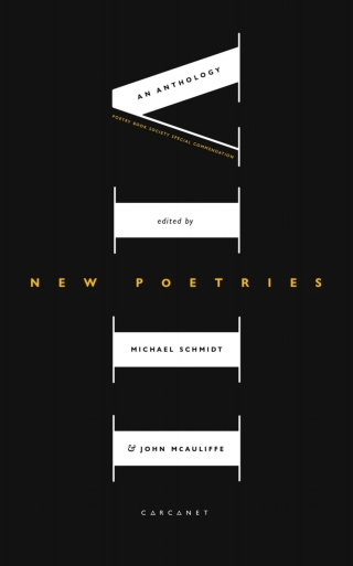 Imagen de portada: New Poetries VIII 9781800170407