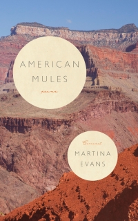 Cover image: American Mules 9781800170896