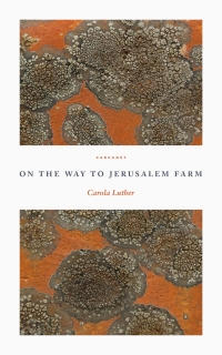 Imagen de portada: On the Way to Jerusalem Farm 9781800171633