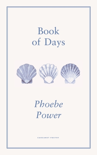 Cover image: Book of Days 9781800171787