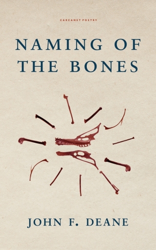 Cover image: Naming of the Bones 9781800171886