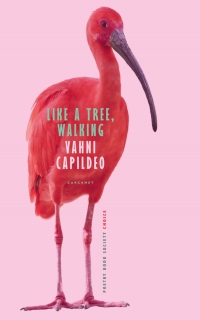 Imagen de portada: Like a Tree, Walking 9781800171954
