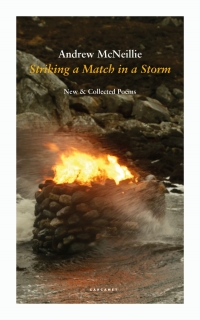Cover image: Striking a Match in a Storm 9781800172333