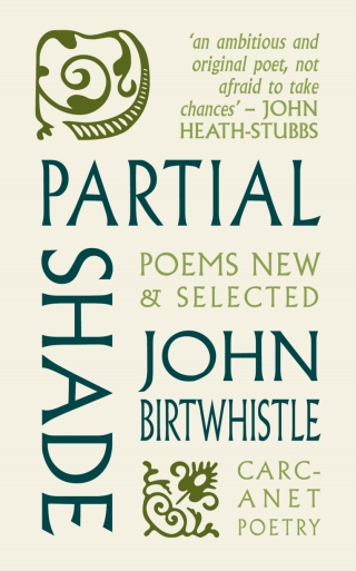 Imagen de portada: Partial Shade 9781800173231
