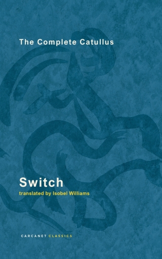 Imagen de portada: Switch 9781800173392