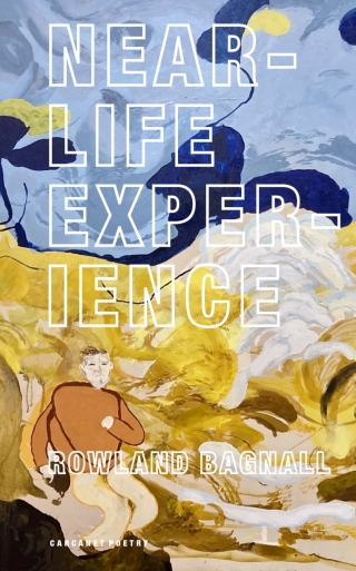 Imagen de portada: Near-Life Experience 9781800173903