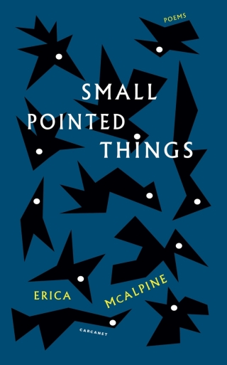 Imagen de portada: Small Pointed Things 9781800174771