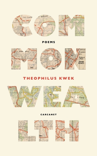 Cover image: Commonwealth 9781800174832