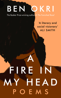 Omslagafbeelding: A Fire in My Head 1st edition 9781803281285