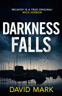 Cover image: Darkness Falls 1st edition 9781800246331