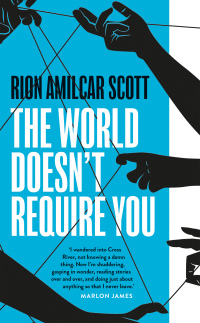 Immagine di copertina: The World Doesn't Require You 1st edition 9781800244344