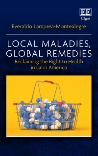 Omslagafbeelding: Local Maladies, Global Remedies 1st edition 9781800376533