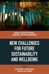 Omslagafbeelding: New Challenges for Future Sustainability and Wellbeing 9781800439696