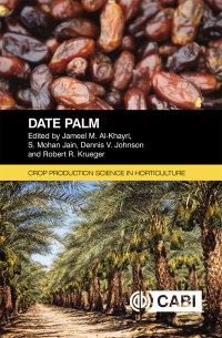 Titelbild: Date Palm