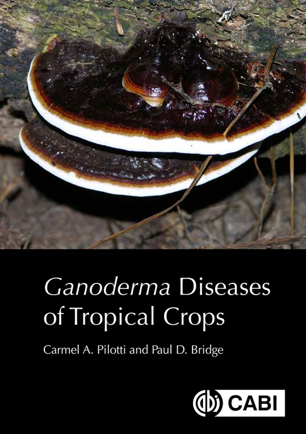 Ganoderma Diseases of Tropical Crops