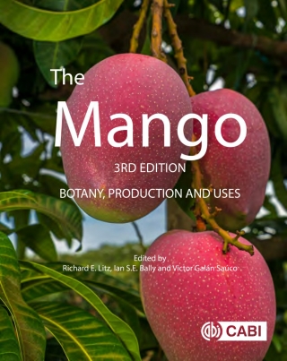 Imagen de portada: The Mango 3rd edition 9781800622623