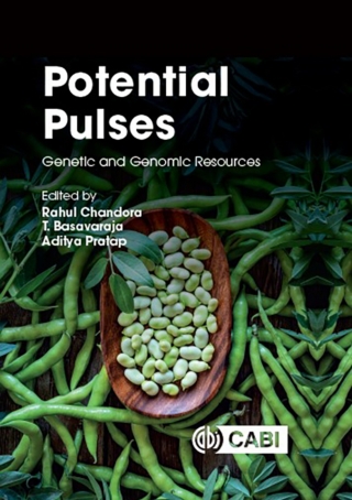 Cover image: Potential Pulses 9781800624634