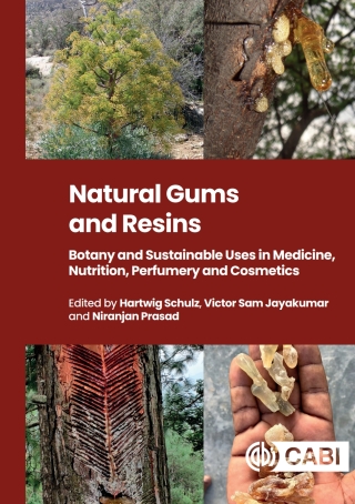Cover image: Natural Gums and Resins 9781800626676