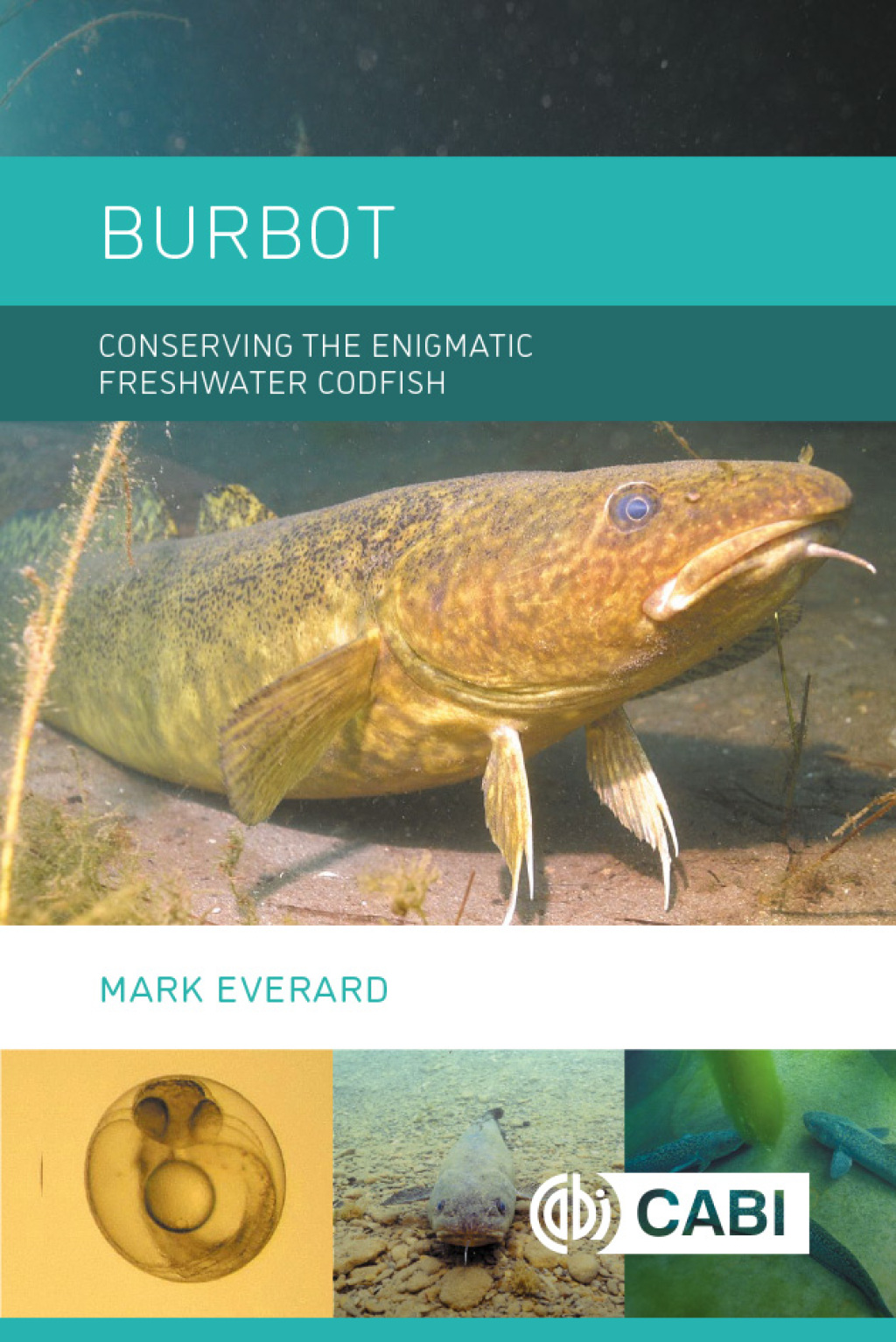 Burbot Conserving the Enigmatic Freshwater Codfish