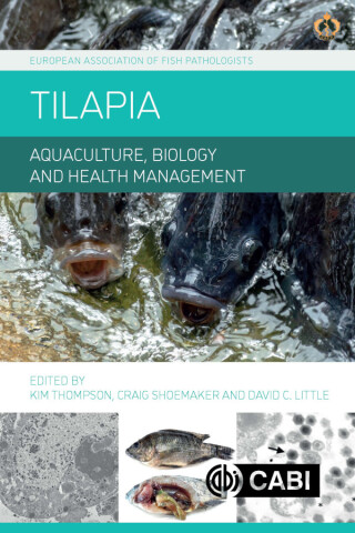 Immagine di copertina: Tilapia 9781800629387