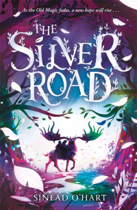 Omslagafbeelding: The Silver Road 9781800786042