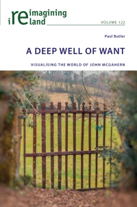 Titelbild: A Deep Well of Want 1st edition 9781800798106