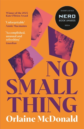 Imagen de portada: No Small Thing 9781800815582