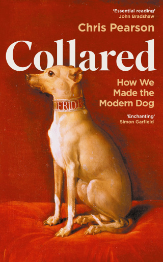 Cover image: Collared 9781800816411