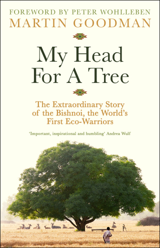Cover image: My Head For A Tree 9781800818712
