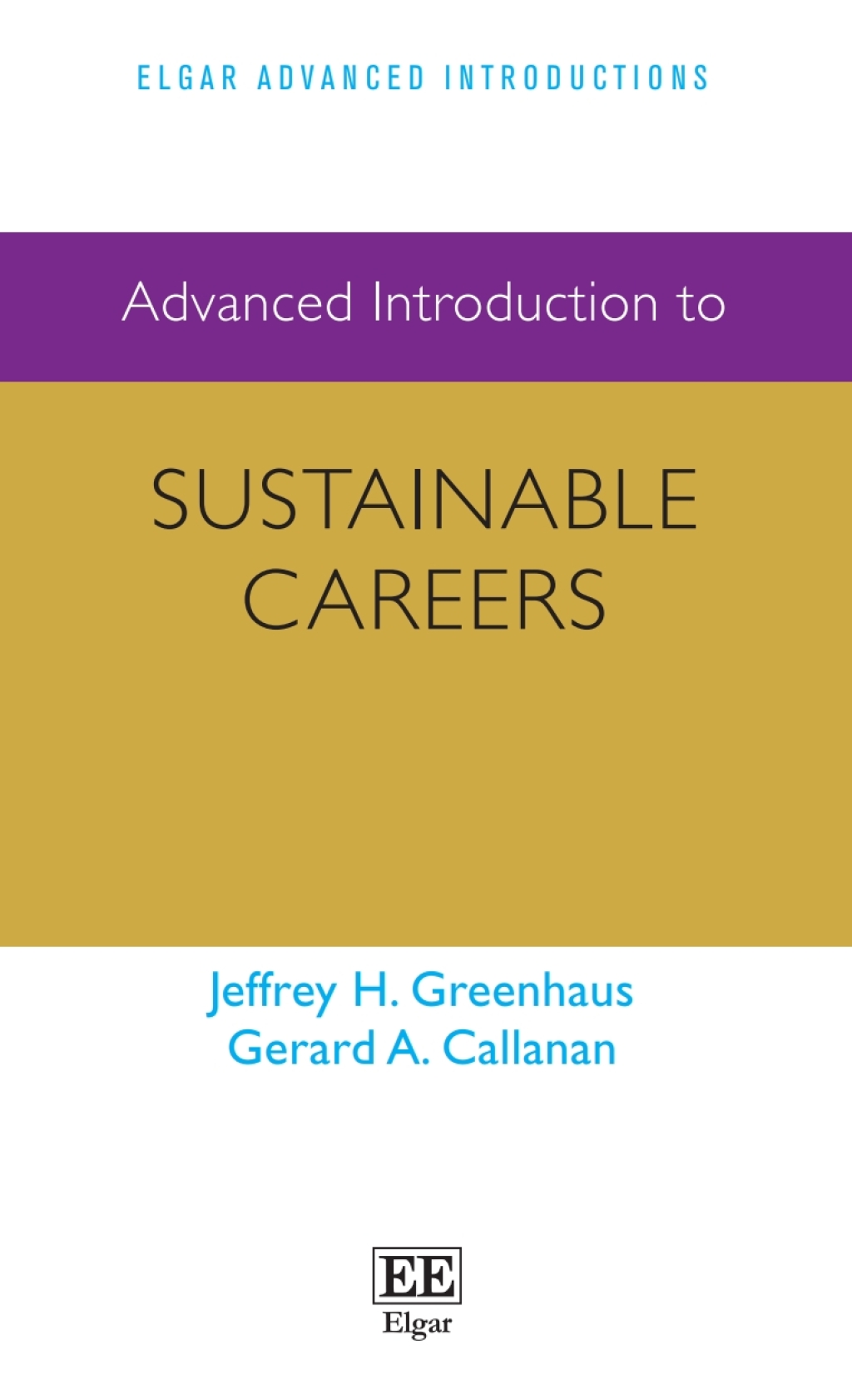 Advanced Introduction to Sustainable Careers 1st Edition