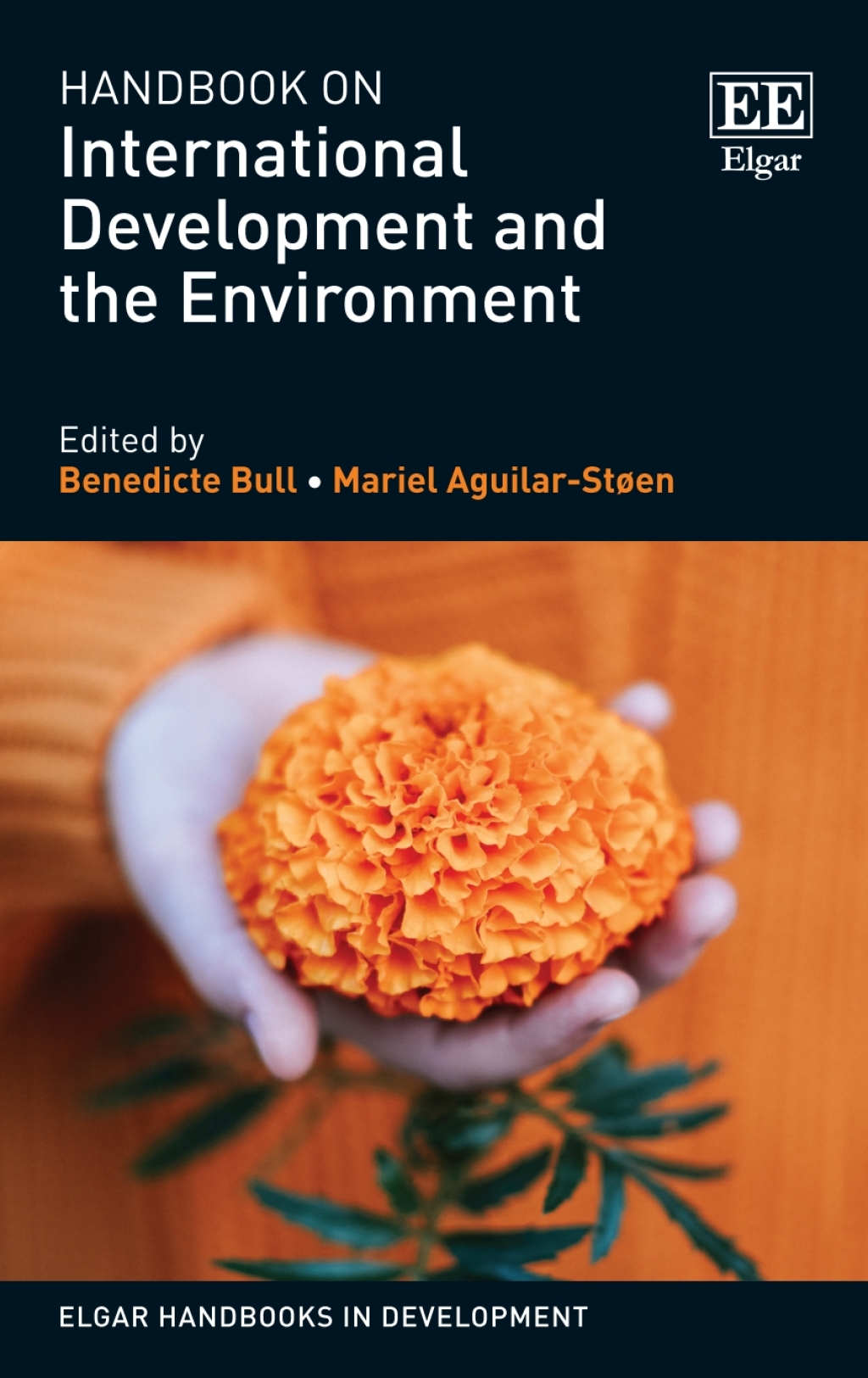 Handbook on International Development and the Environment 1st Edition