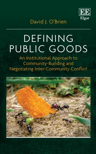 Imagen de portada: Defining Public Goods 1st edition 9781800885424