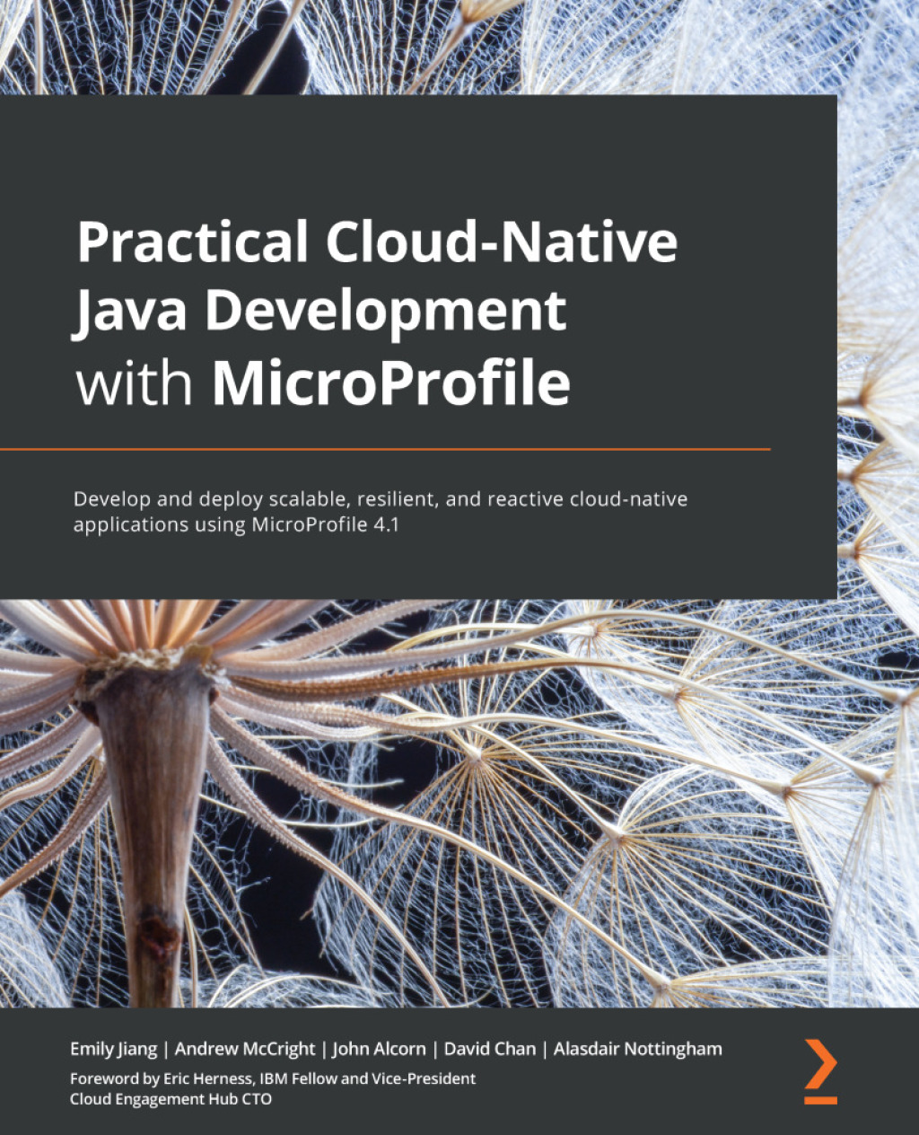 Practical Cloud-Native Java Development with MicroProfile - 1st Edition (eBook)