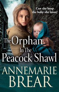 صورة الغلاف: The Orphan in the Peacock Shawl 9781801627573