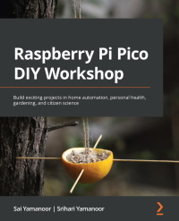 Omslagafbeelding: Raspberry Pi Pico DIY Workshop 1st edition 9781801814812