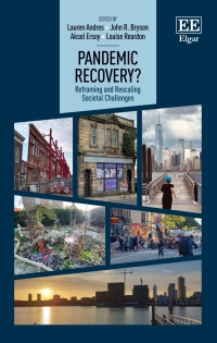 Titelbild: Pandemic Recovery? 1st edition 9781802201109
