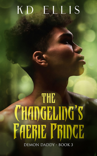 Cover image: The Changeling's Faerie Prince 9781802507119